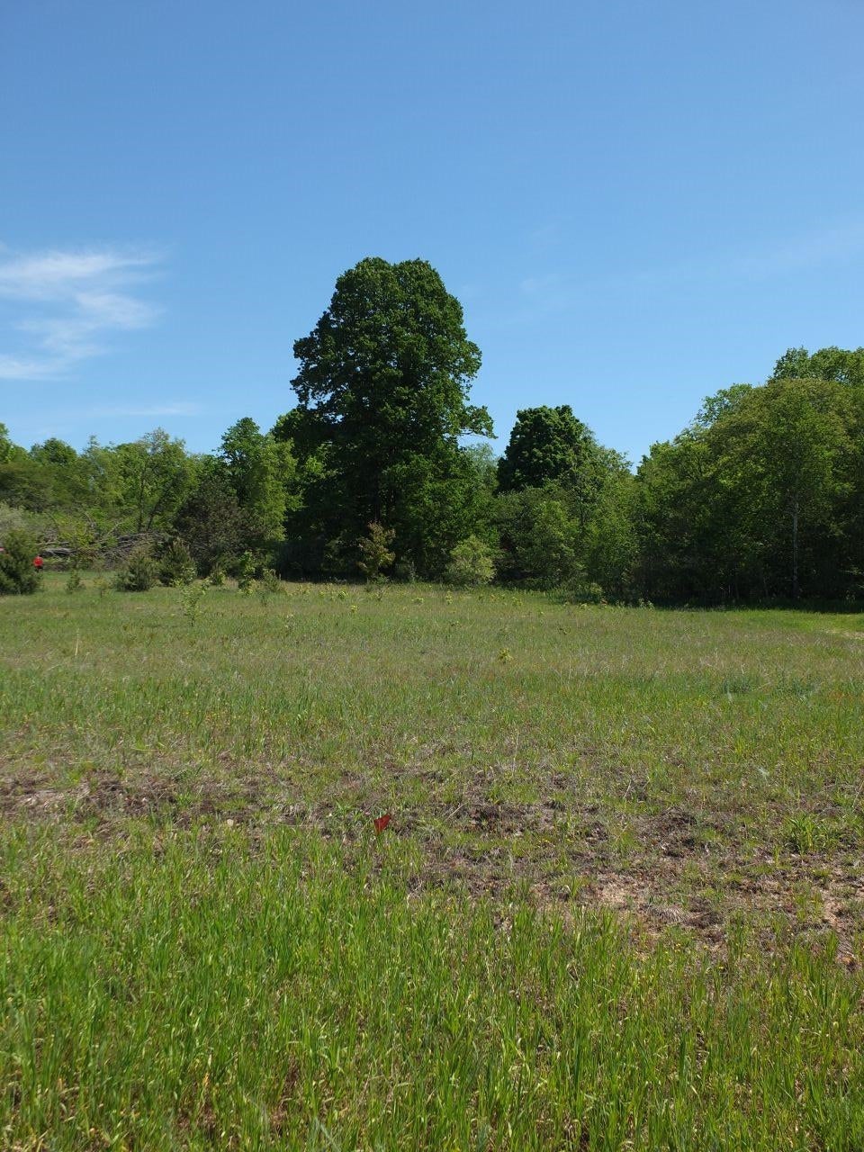Lot 10 Kingsfield Drive