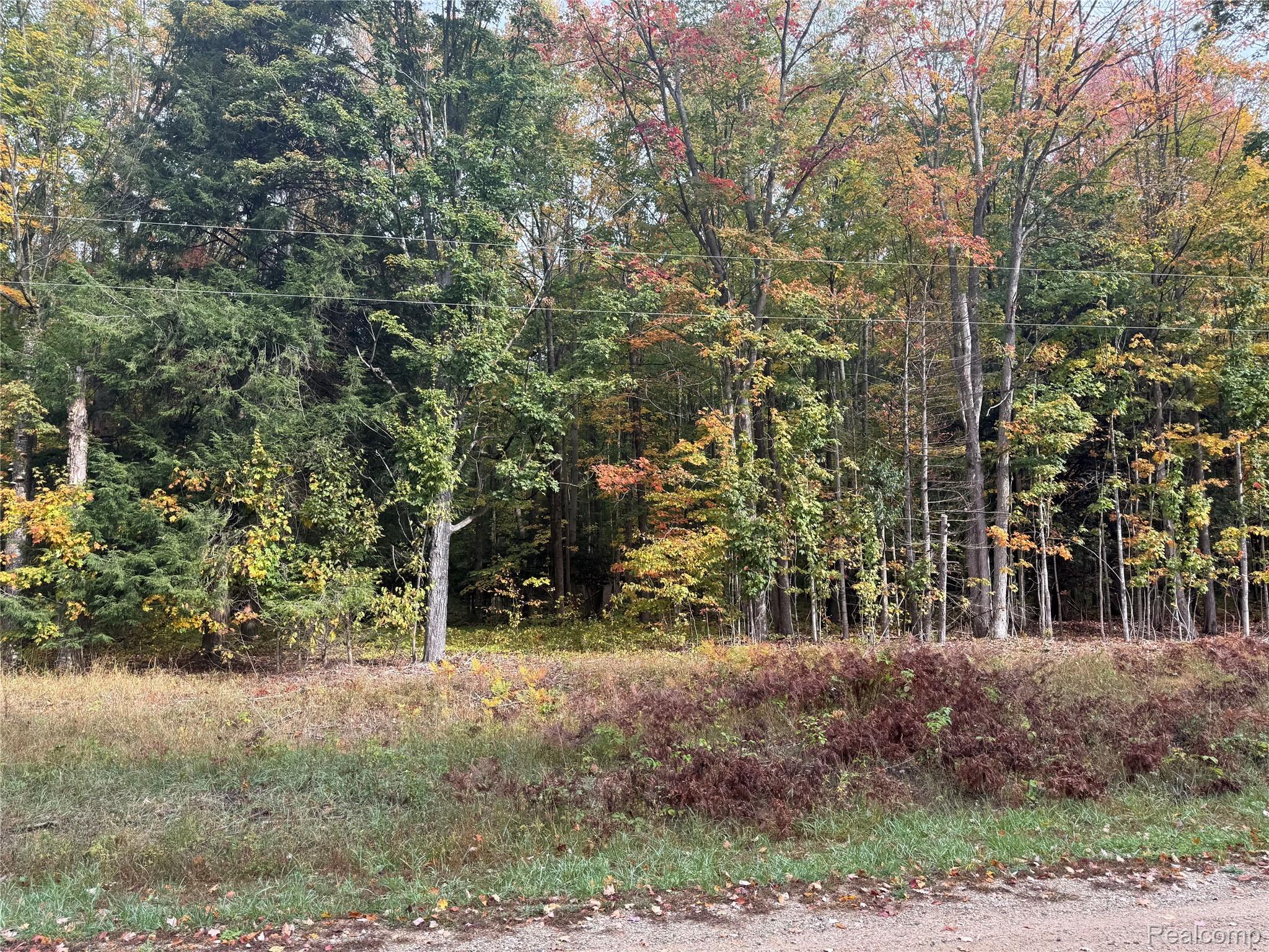 Rapid River Township, Michigan 49612, United States, ,Land,Active,217485