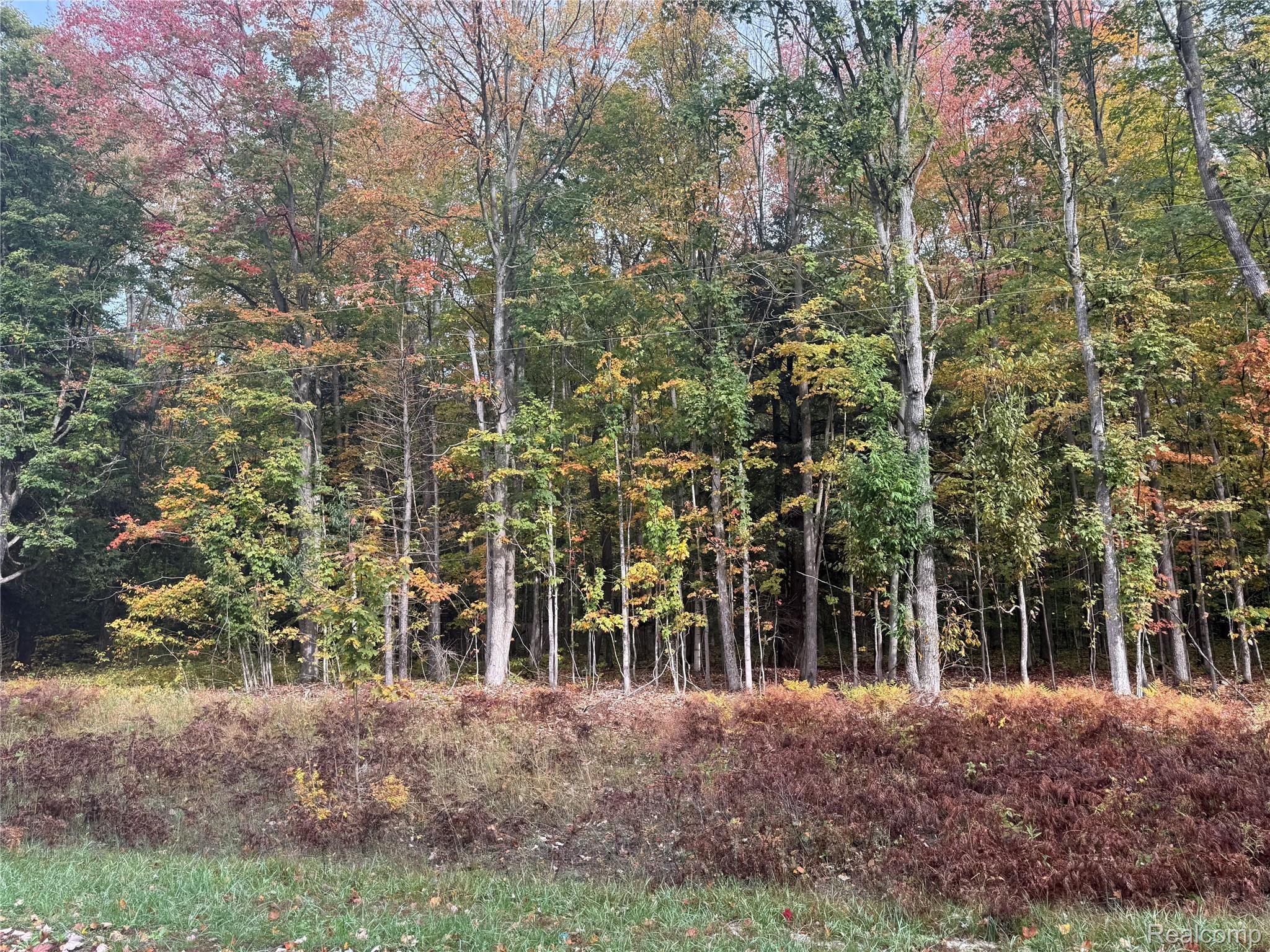 Rapid River Township, Michigan 49612, United States, ,Land,Active,217485