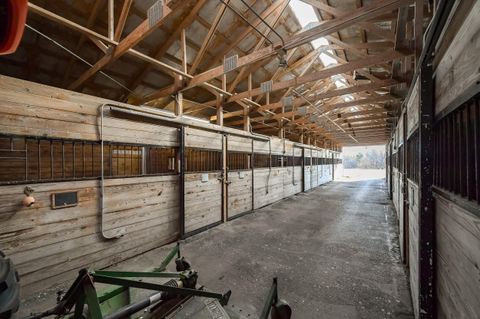 listing image 82