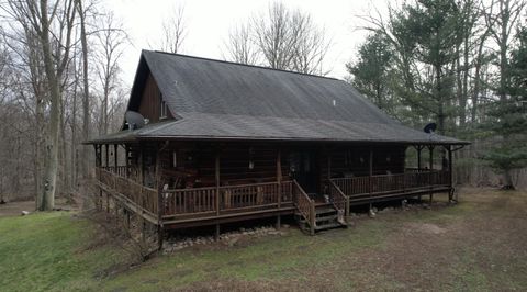 1254 Burbank Road Butler Township MI 49082