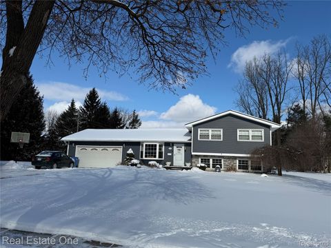 444 Riddle Street Howell City MI 48843