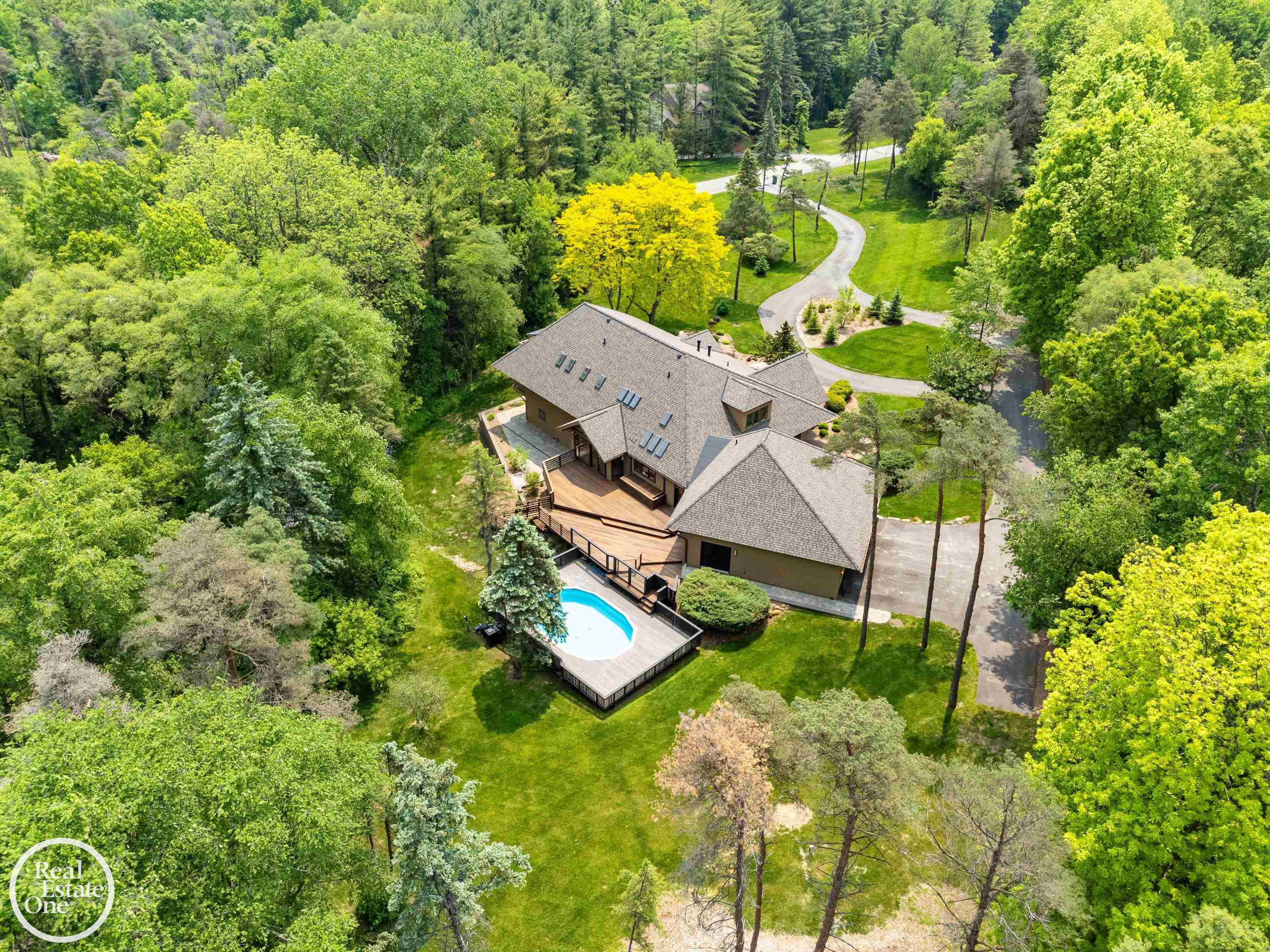 966 Pine Needle Trail