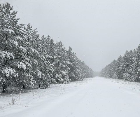 Parcel F-2 N 2 1/2 Road Hanover Township MI 49620