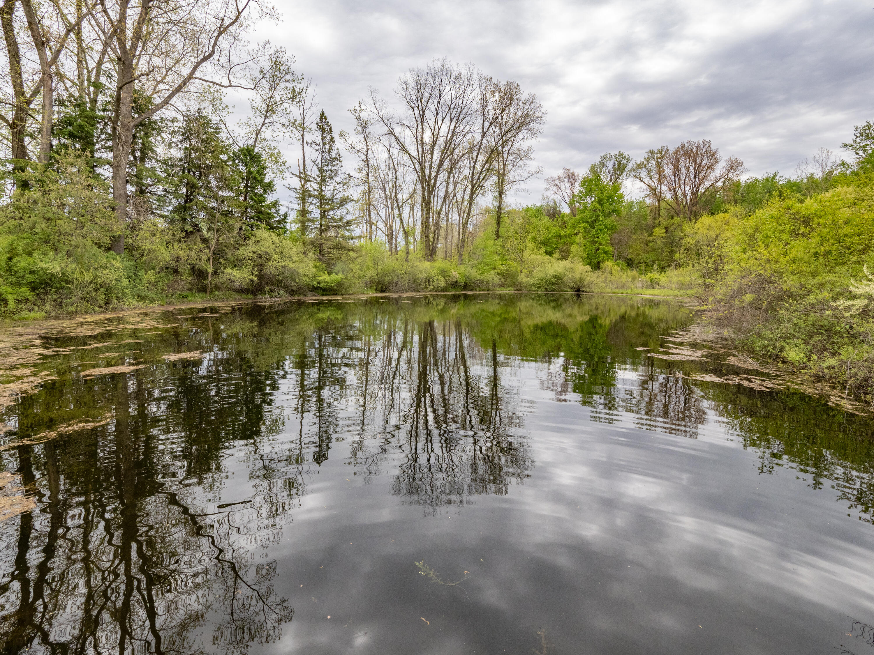 59021 County Road 215