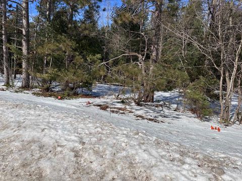 Honor Highway Inland Township MI 49643