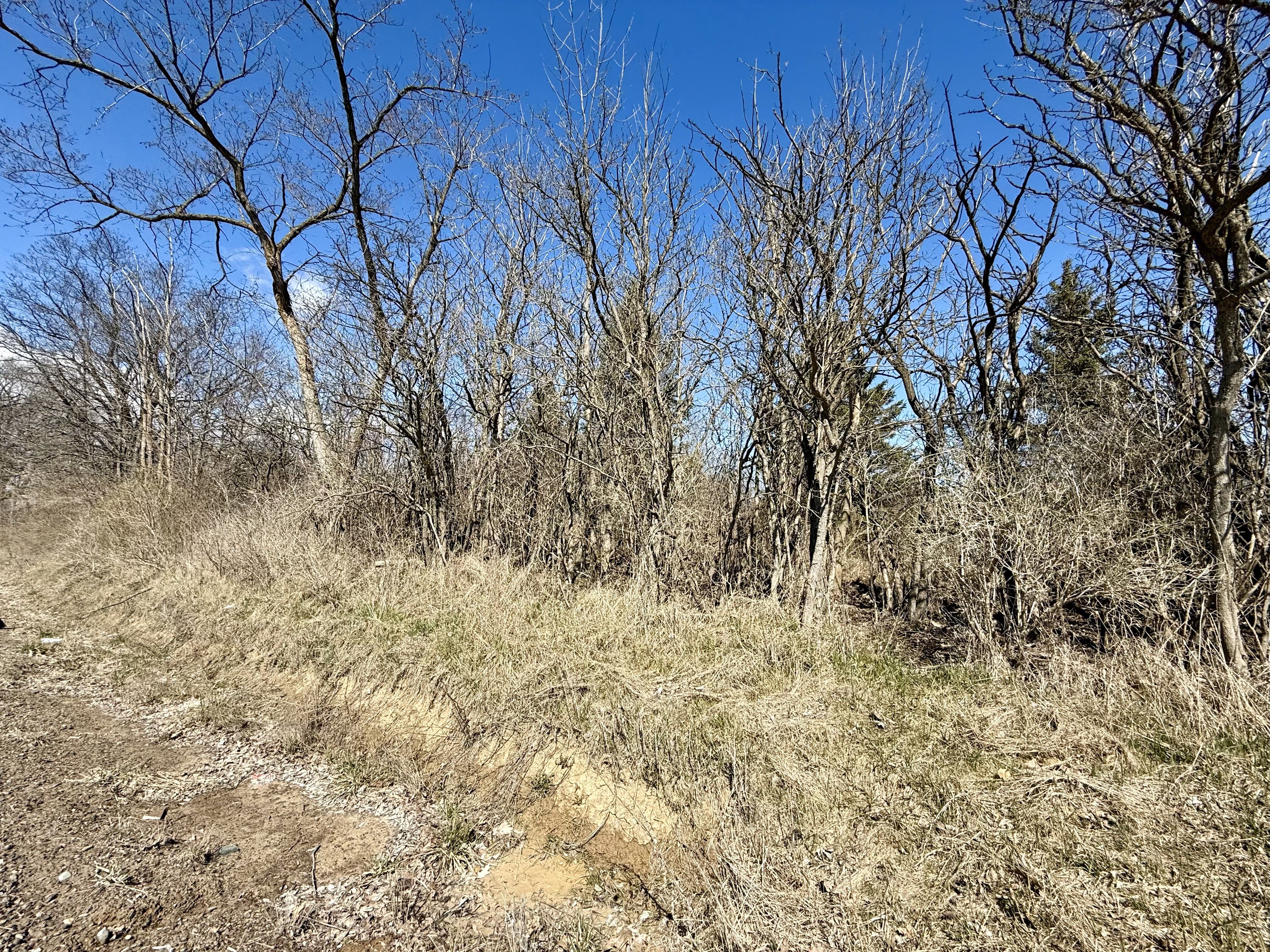 11289 GREEN Road