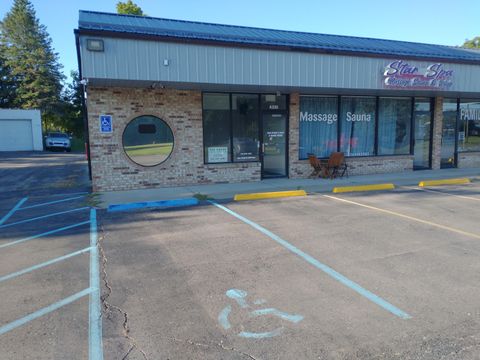 4335 Jackson Road Scio Township MI 48103