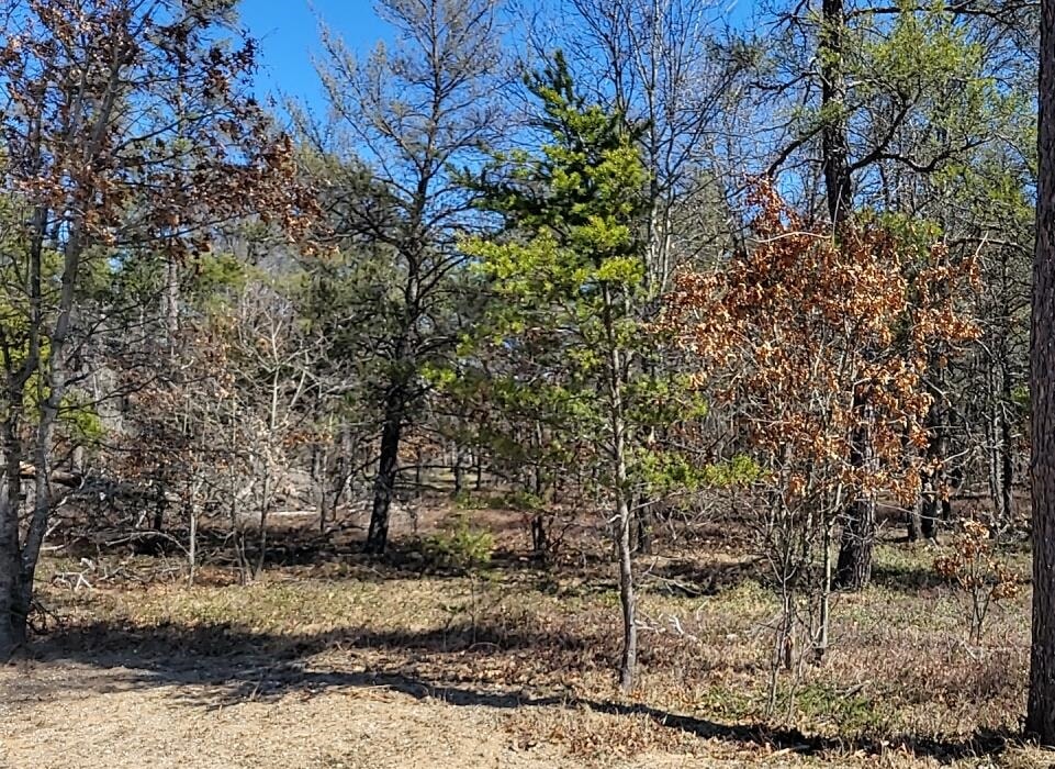 Site 9 Lumberjack Court