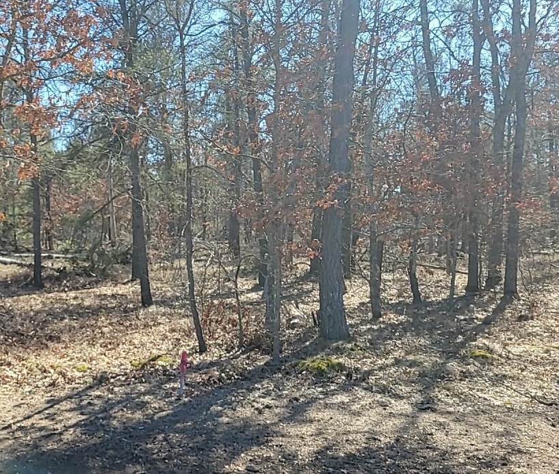 Site 9 Lumberjack Court