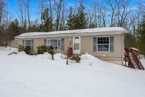 7710 East Street Grant Township MI 49643