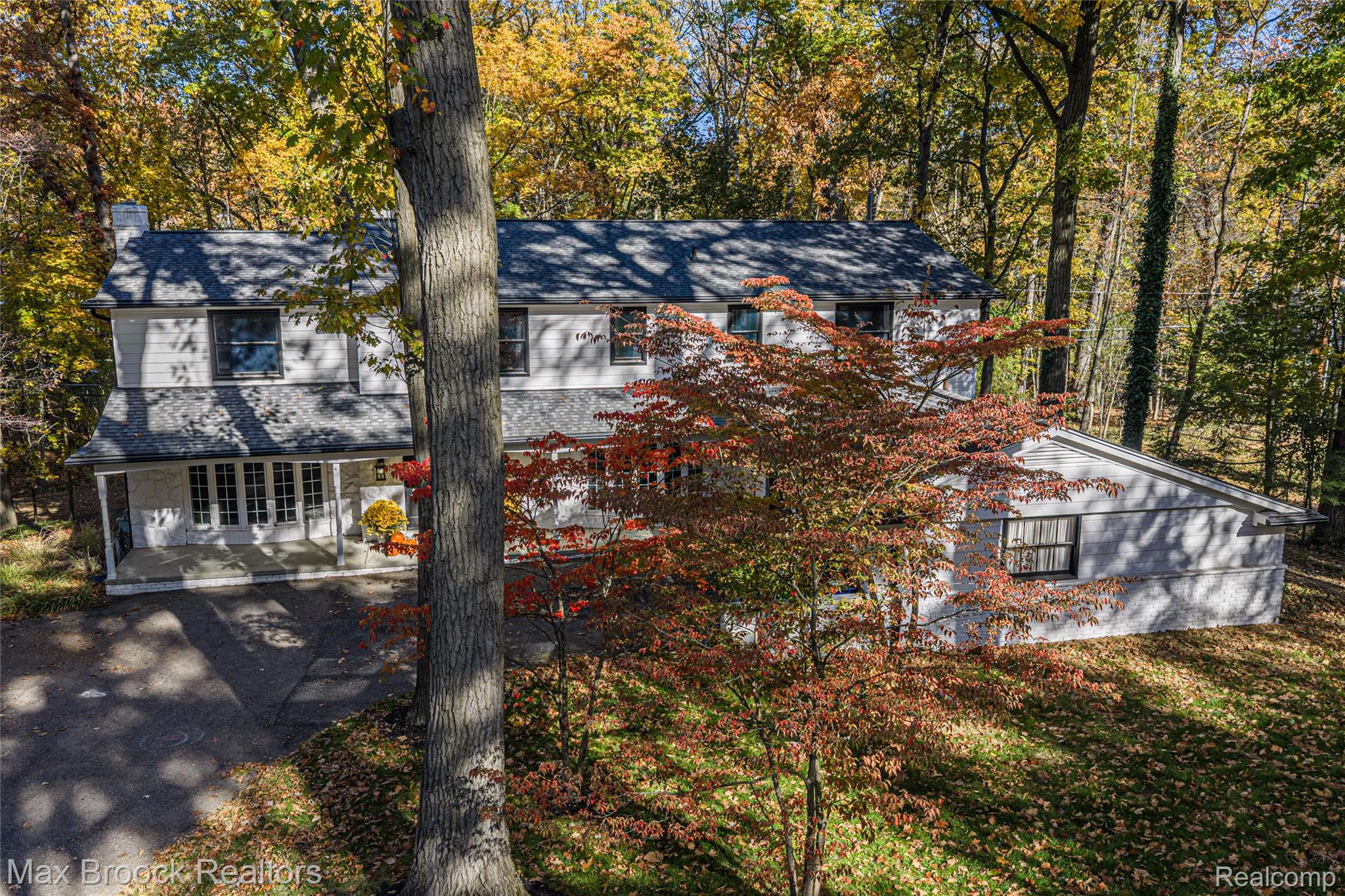 433 Whippers In Court