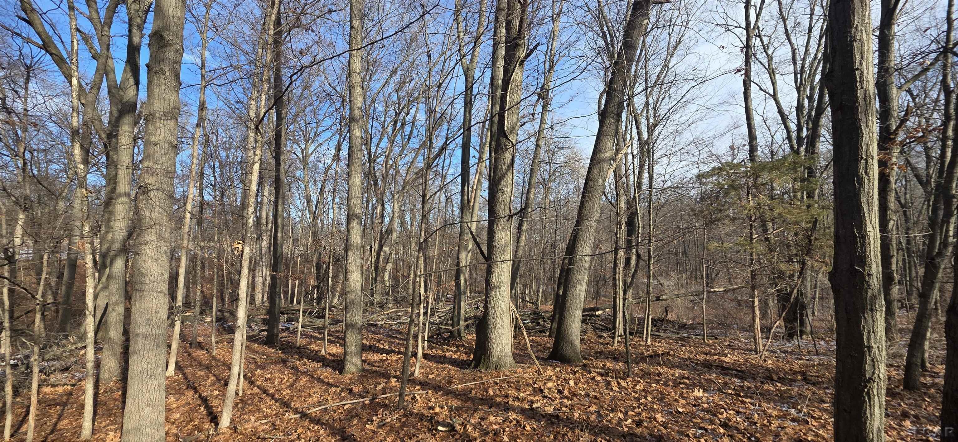 10000 BLK Sheeler Road