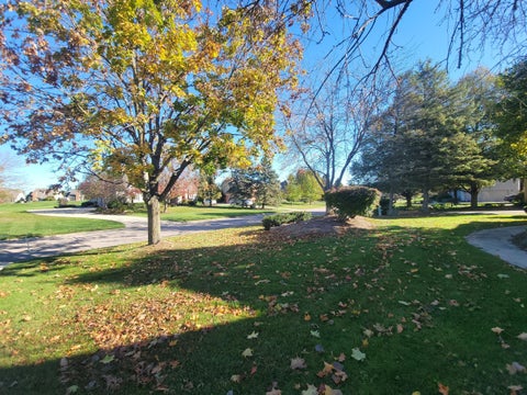 Tiny photo for 1711 Cypress Pointe Court, Pittsfield Charter Township, MI 48108 (MLS # 81026055728)