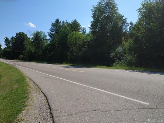 FISH LAKE RD, LAPEER, MI 48446 - Image 1ccf6b522c6441c7b9952e39e09b8dbf/41570749
