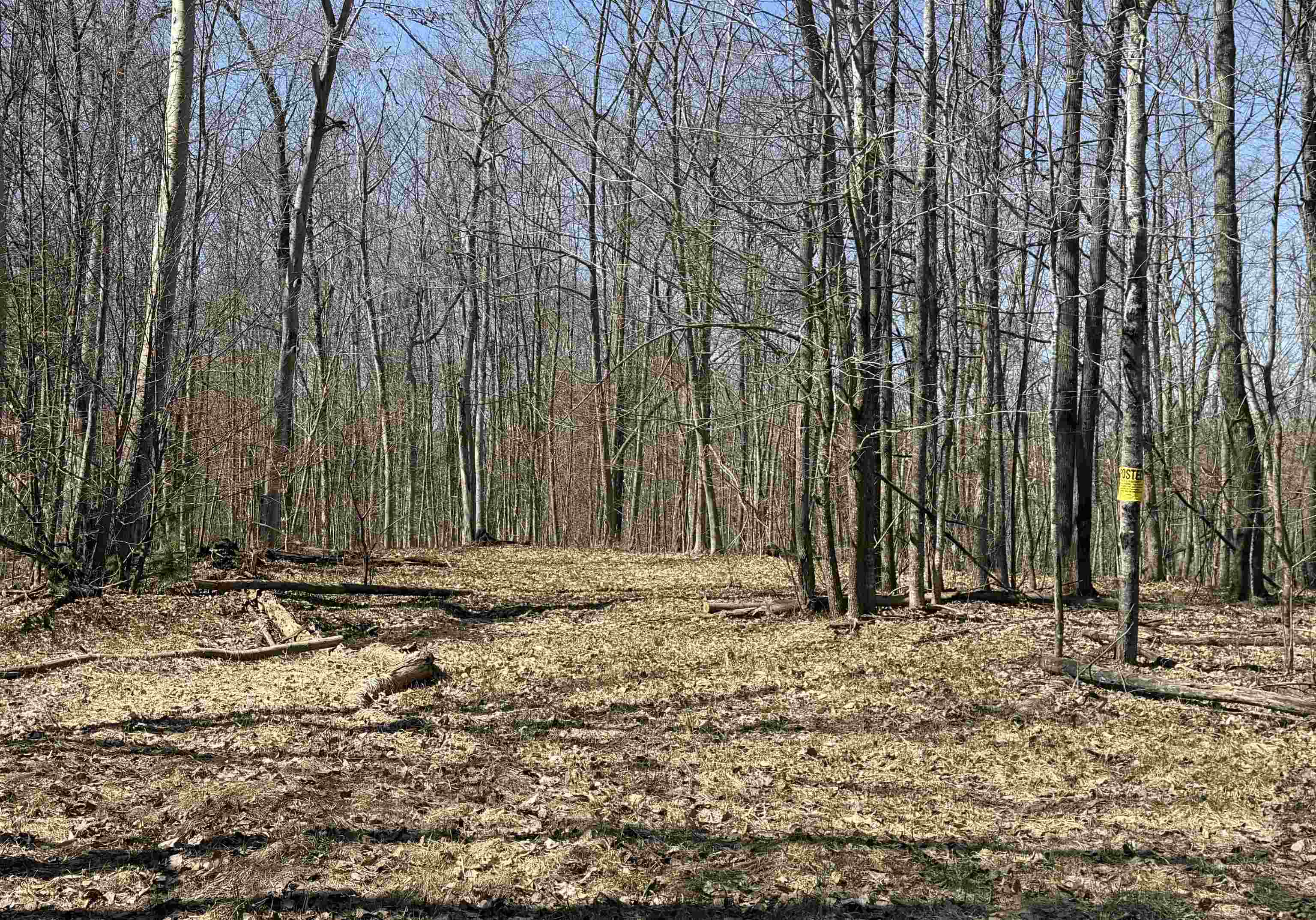 Parcel C Honey Hollow Road