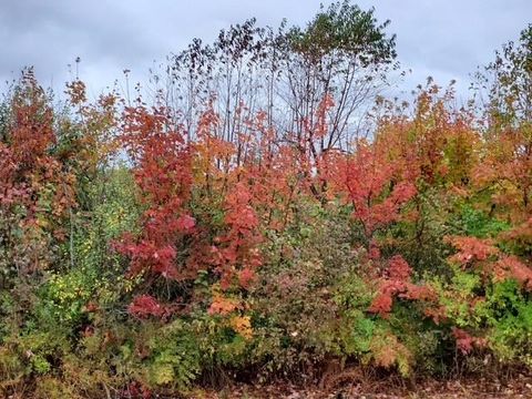 Farrand Road Forest Township MI 48746