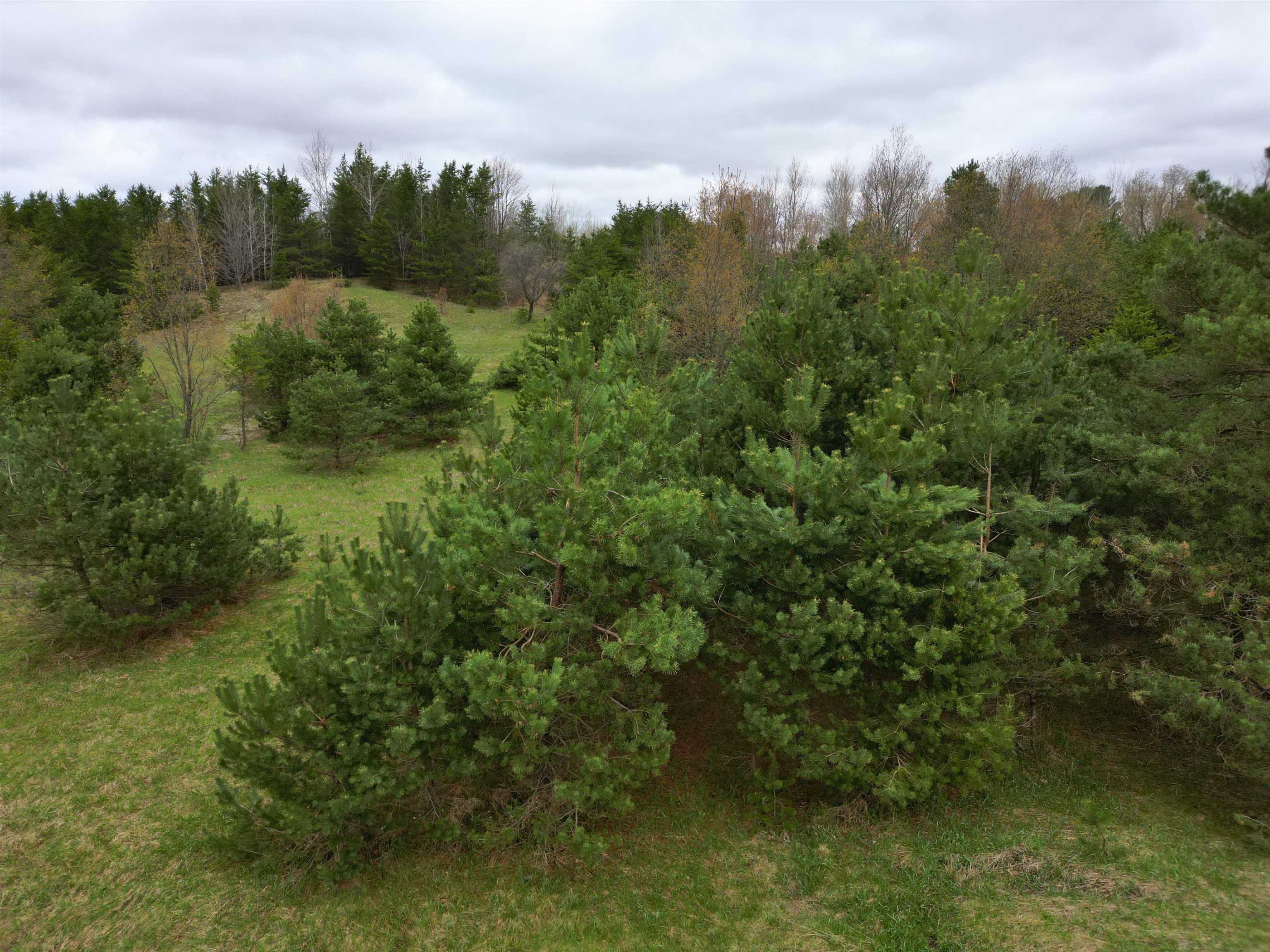 00 W County Line Road