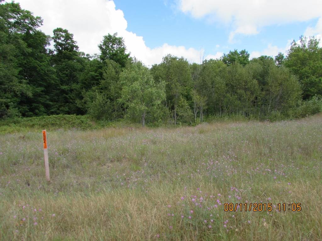 Unit 22 Grouse Drive
