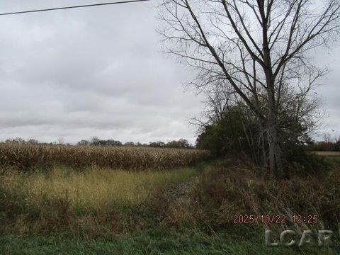 13001 BLK Bartlett Road Bridgewater Township MI 49236