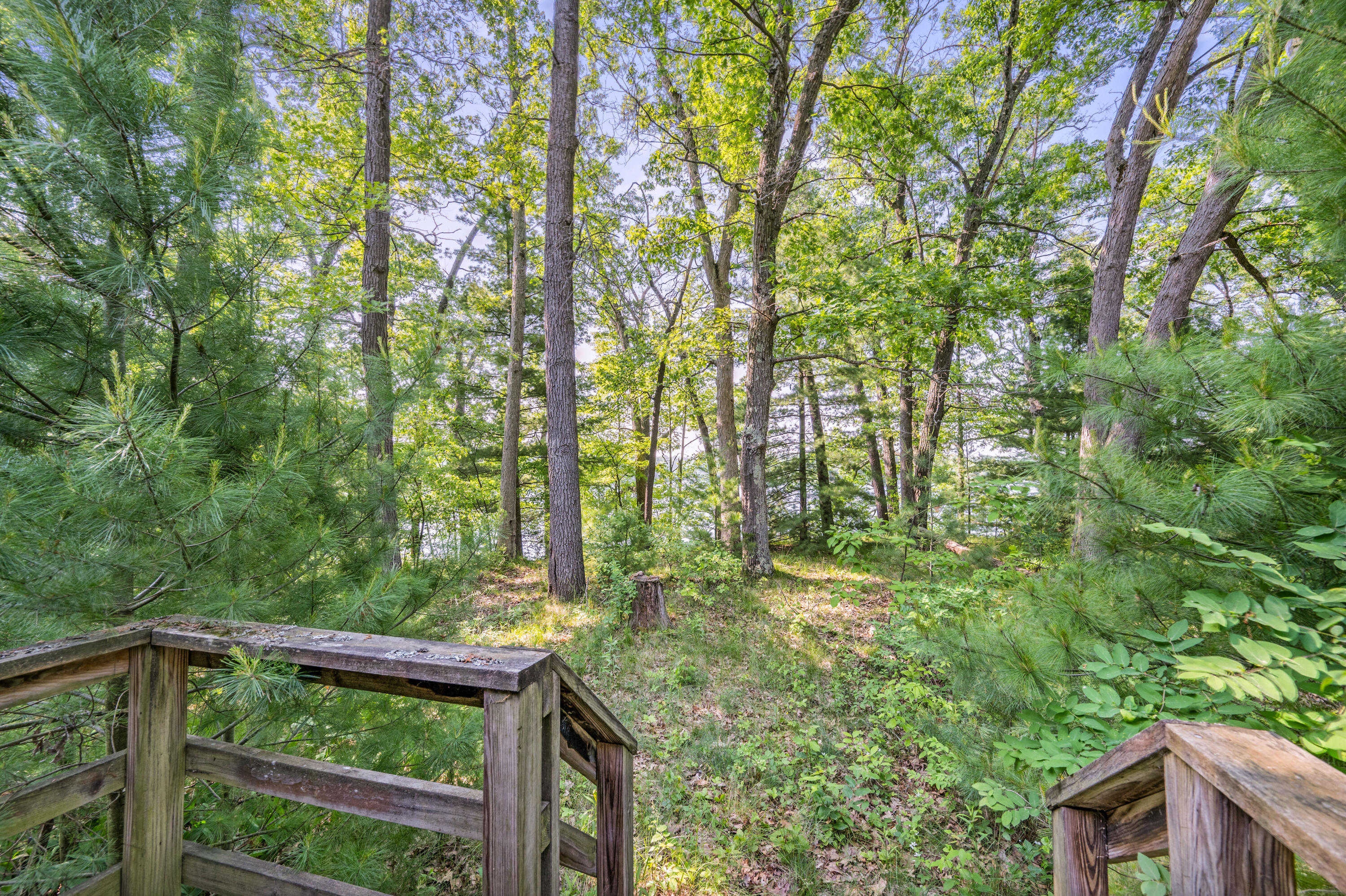 2456 Woodland Lake Dr