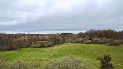 3131 S Lapeer Road Metamora Township MI 48455
