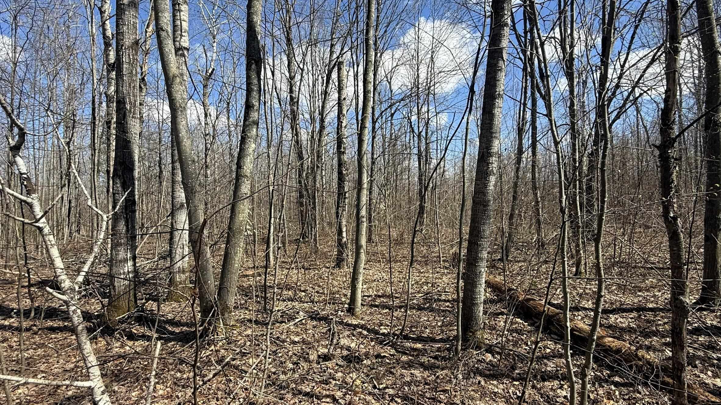 Lot 177 Wyndwood Drive