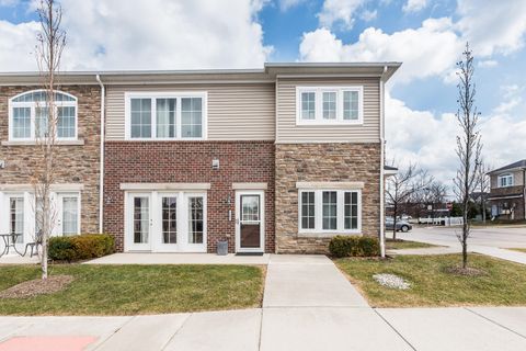 5502 Arbor Chase Drive Scio Township MI 48103