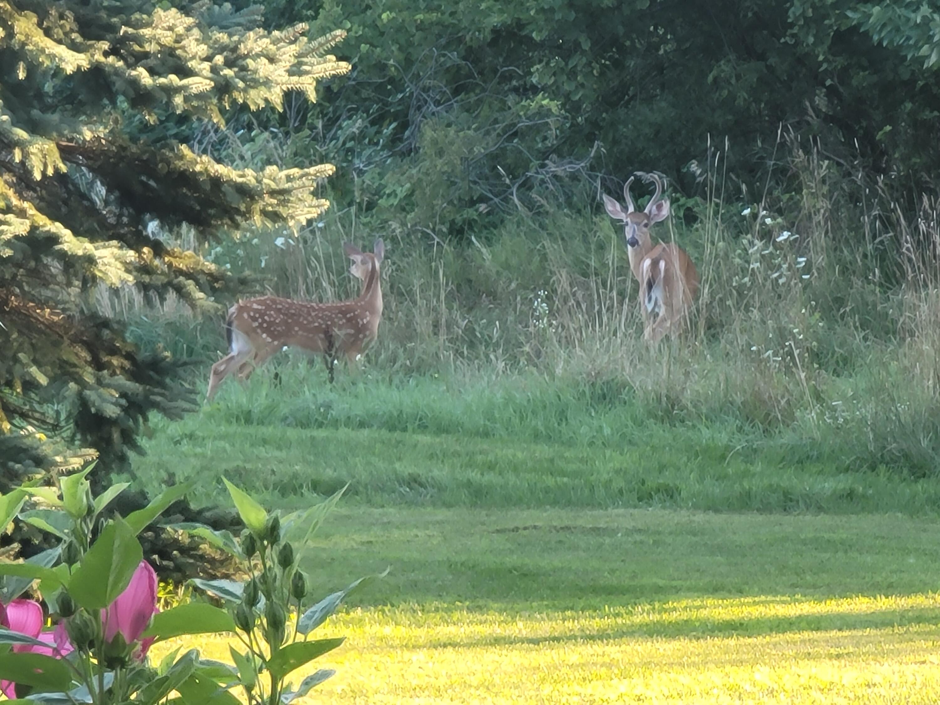 4885 Gavin Lake Road NE