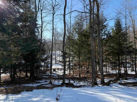 unit 7 Old Trail Lake Township MI 49635