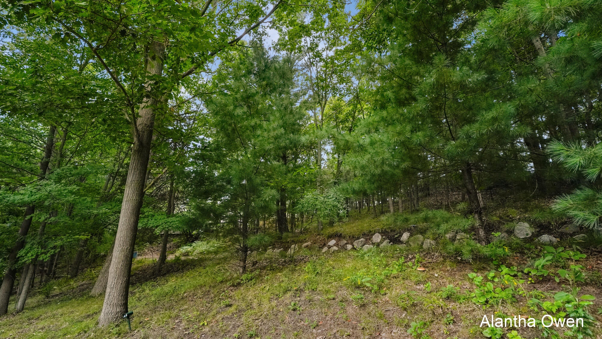 18443 Iroquois Drive