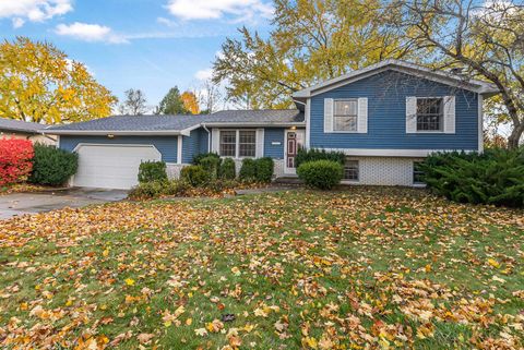 412 Wilcox Parkway Clare City MI 48617