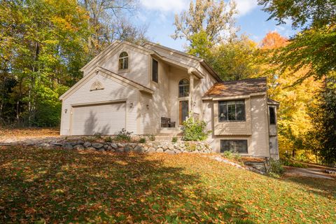 10029 Wildwood Court Richland Township MI 49083