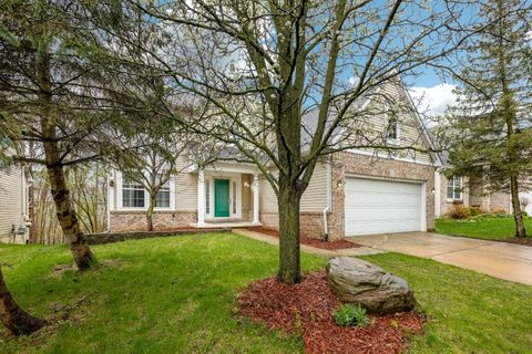 3339 Elsinore Court Ann Arbor City MI 48105