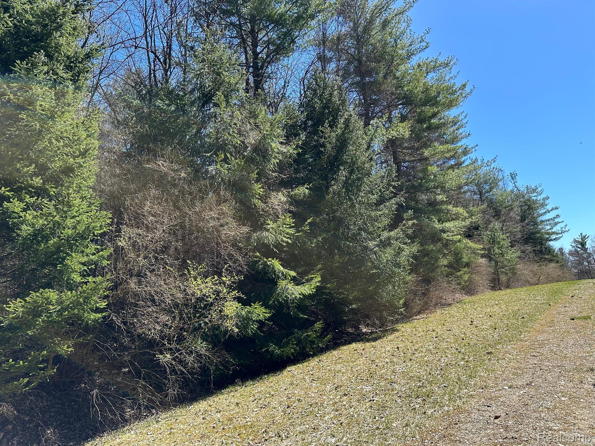 4.23 Acres VL - KNIGHTS BRIDGE Road