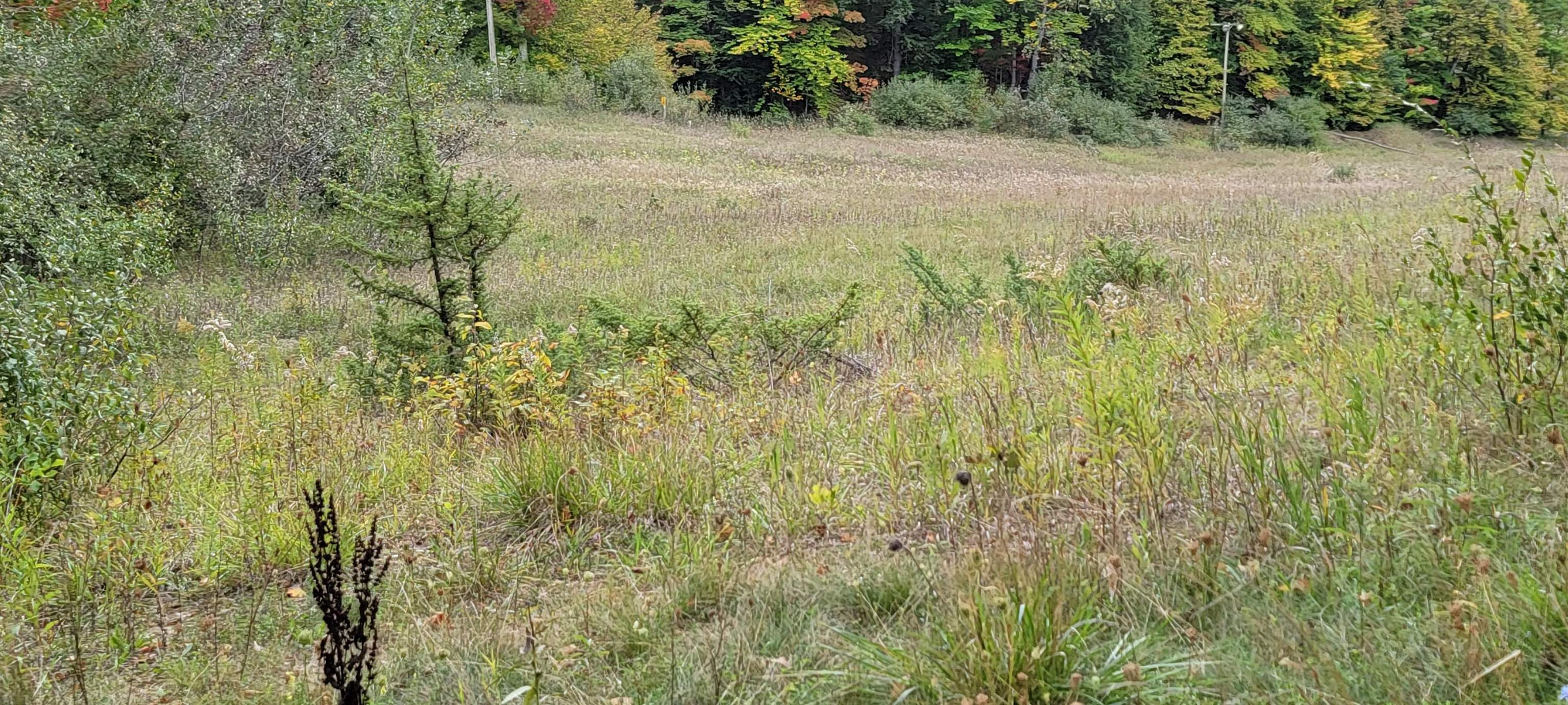 Lot A N Crossover Drive