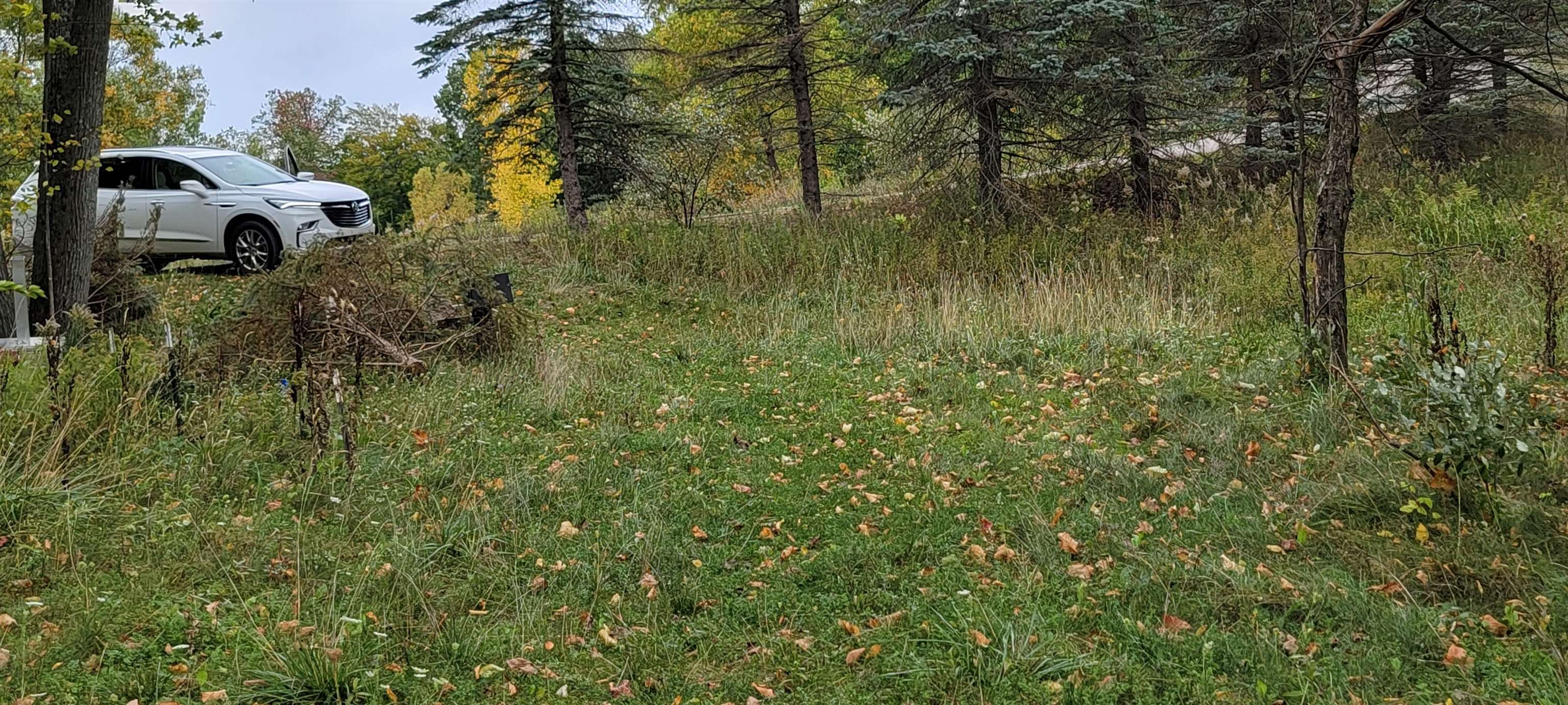 Lot A N Crossover Drive