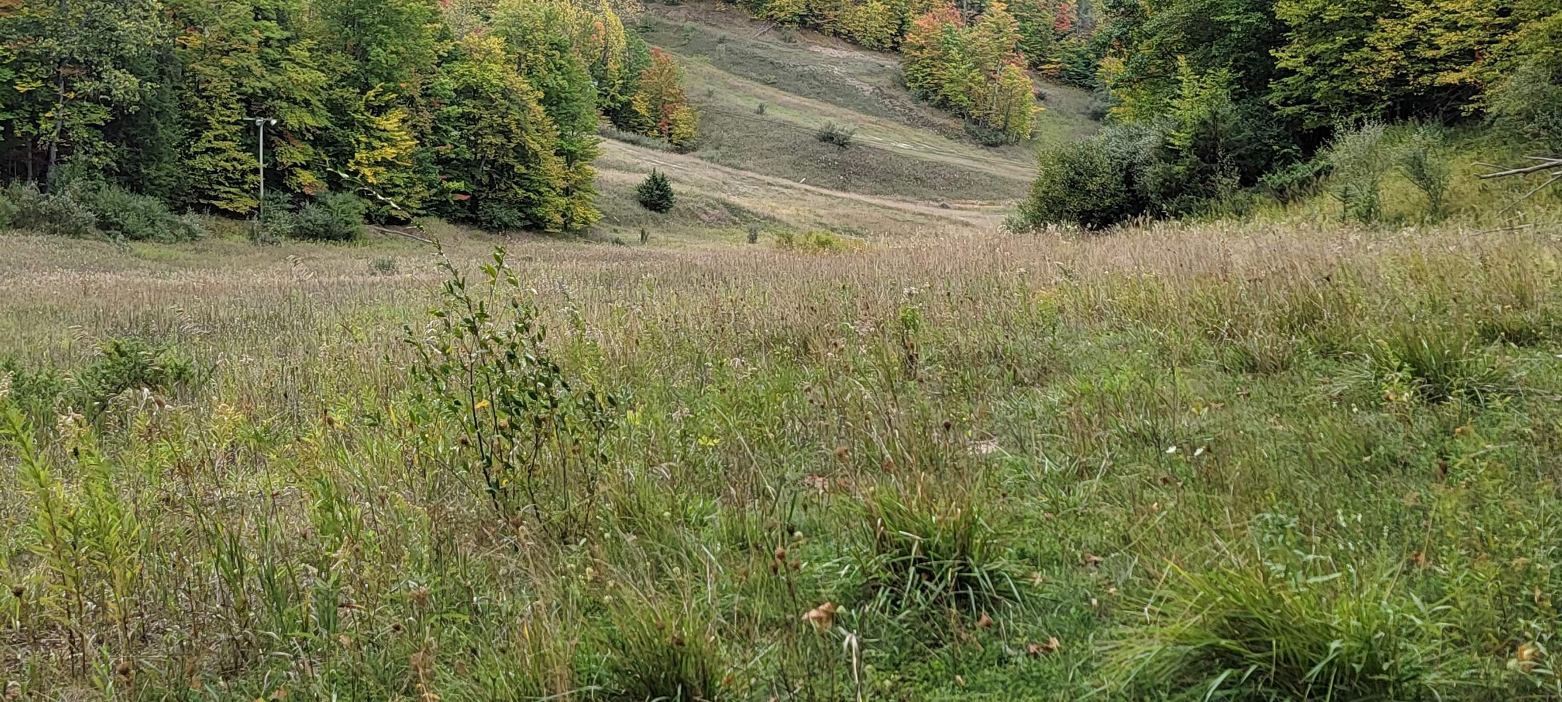 Lot A N Crossover Drive