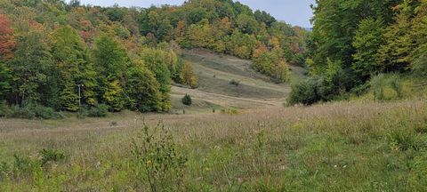 Lot A N Crossover Drive Kearney Township MI 49615