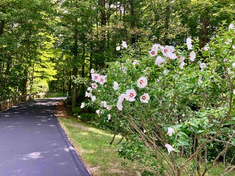 Tiny photo for 6788 E Hoxie Road, Solon Township, MI 49621 (MLS # 78080072992)