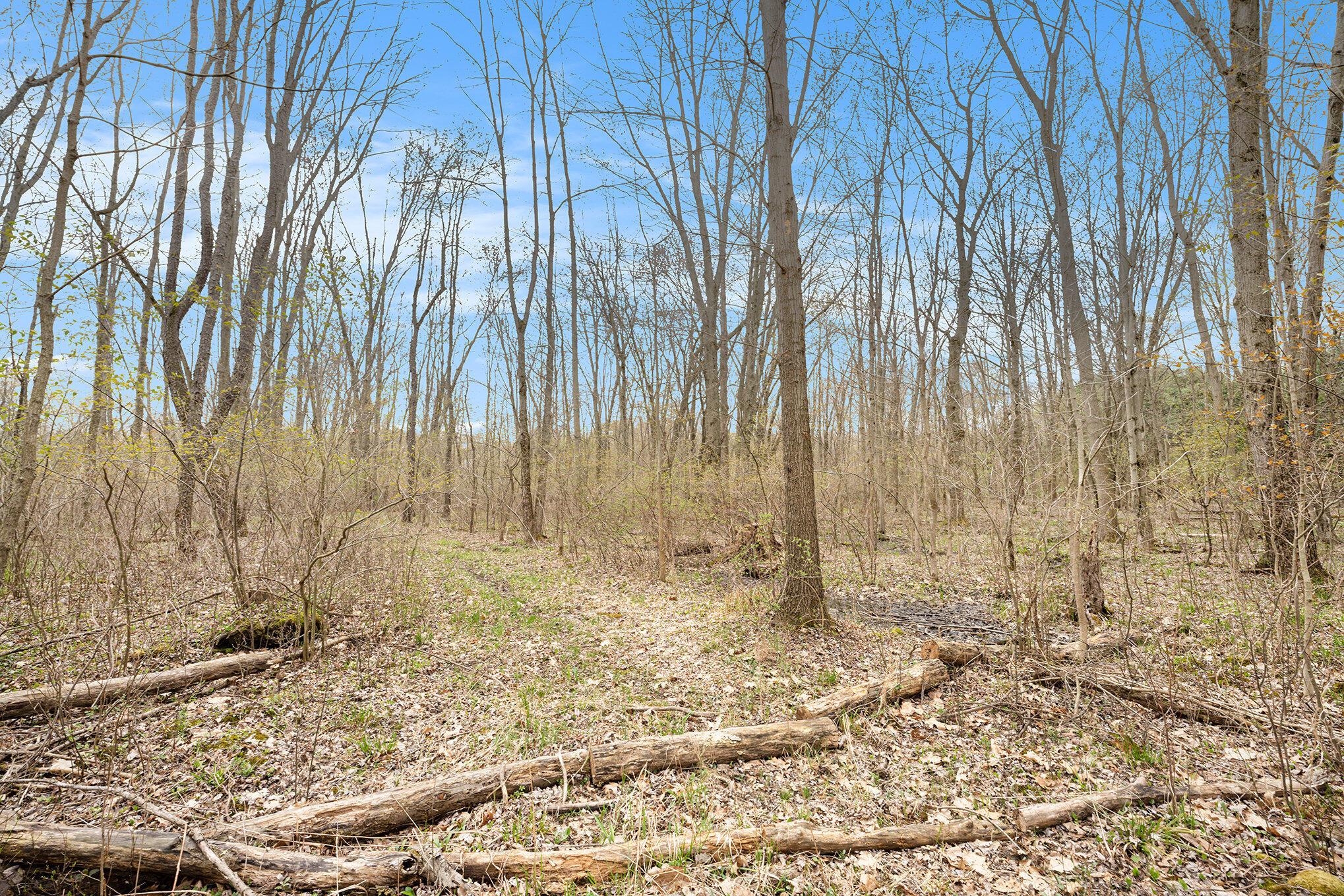 Cheshire Township, Michigan 49010, United States, ,Land,Pending,139575