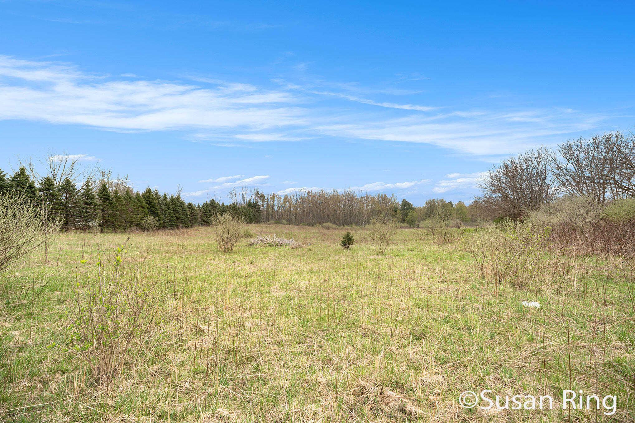 Cheshire Township, Michigan 49010, United States, ,Land,Pending,139575