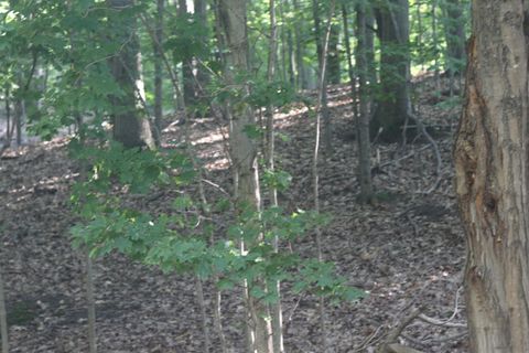 Lot 20 Crystal View Lake Township MI 49617