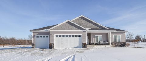 561 Wedge Court Ovid Township MI 49036