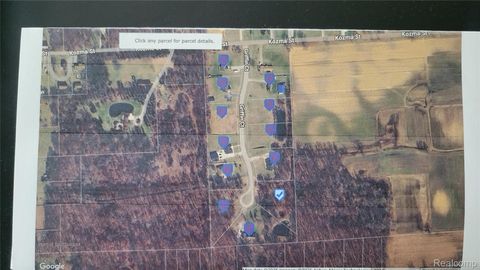 Unit 5 Griffin Court Sumpter Township MI 48111