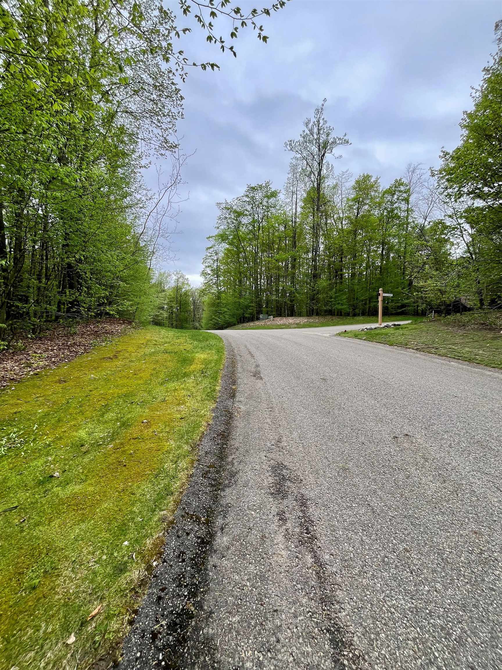 166 Forest Highlands