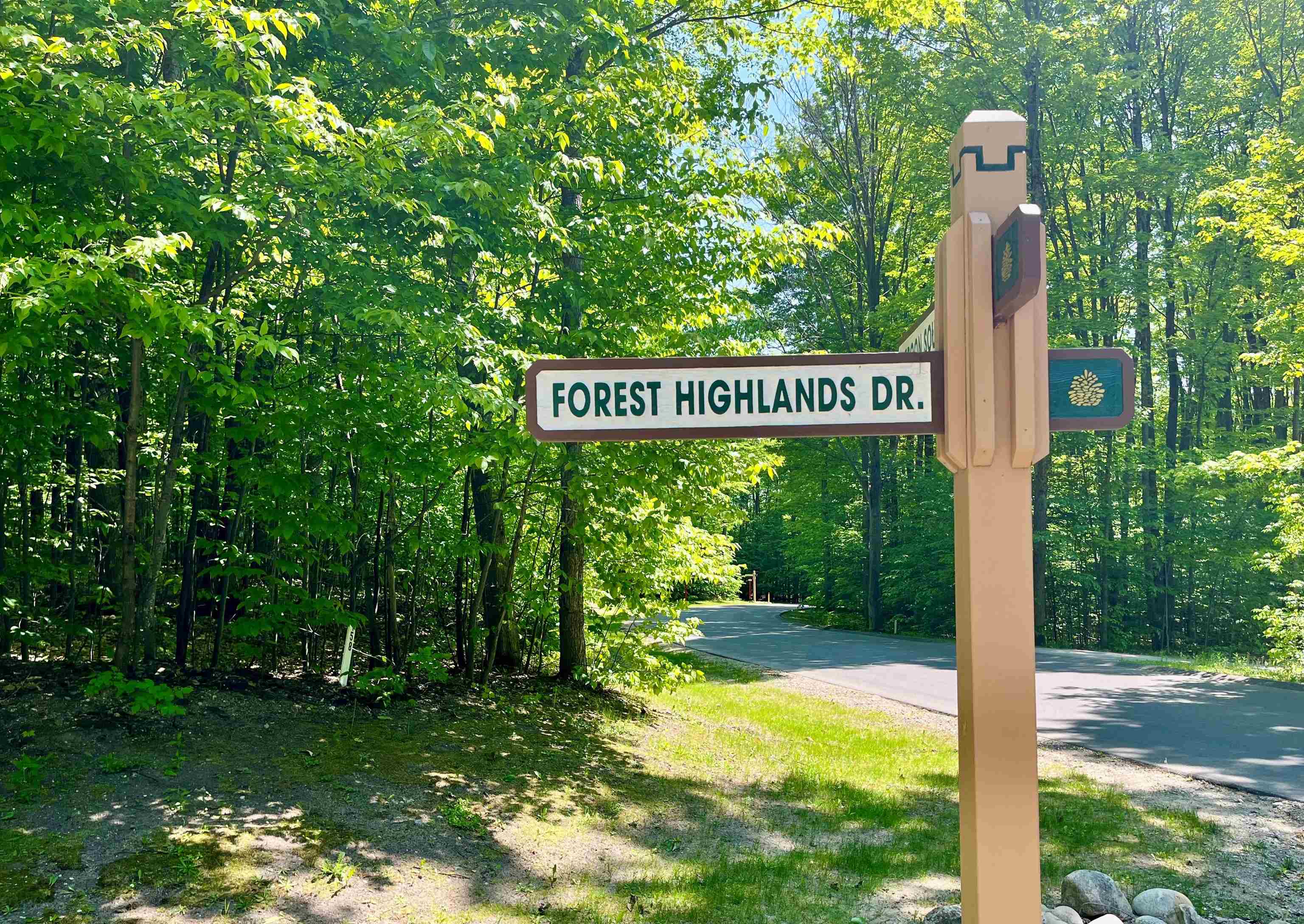 166 Forest Highlands