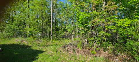 Tiny photo for 1765 Burgess Road, Millen Township, MI 48705 (MLS # 77080069003)