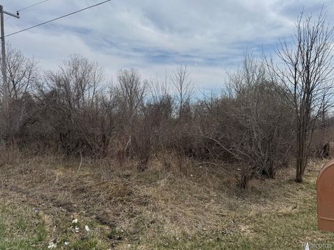 000 Metcalf Road Clyde Township MI 48049