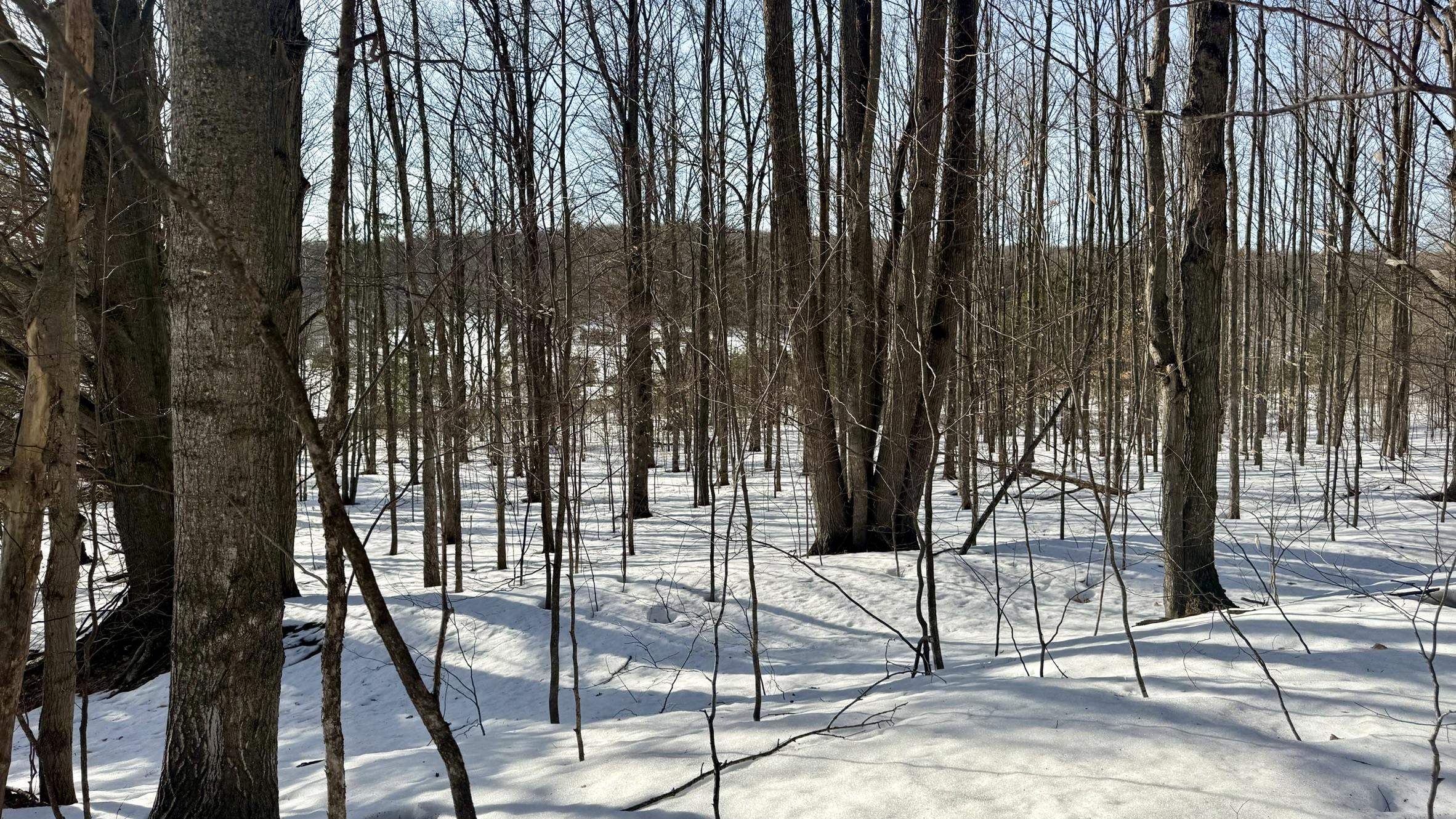 Lot 202 Clearview Drive